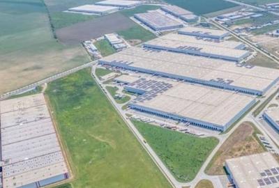 Teren Construcții intravilan de 26388 mp, în Bolintin-Vale - 5