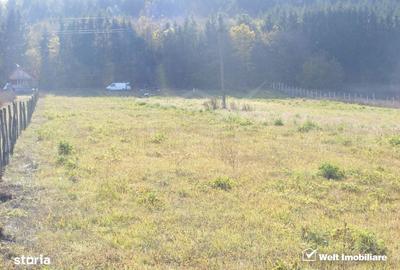 Teren de 10800 mp, în Căpușu Mare - 3