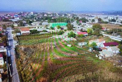 Teren intre case, strada asfaltata, utilitati , 1300 mp, Poiana, 45000 euro - 5