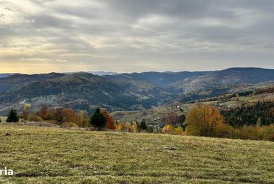 Spațiu comercial, în Horea - 6