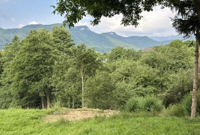 Teren  Bran/Predelut - 6