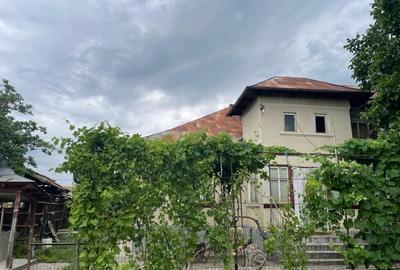 Vand casa in Vasile Alexandri - 5