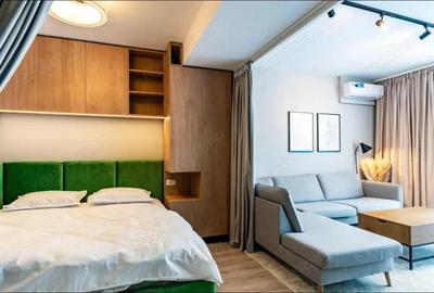 Garsonieră decomandată, mobilată în Calea București - 8
