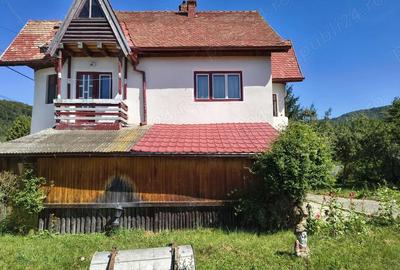 Casă cu 4 camere cu Teren 1000 Mp în Central - 4