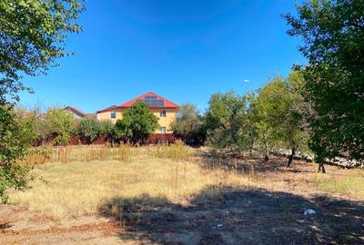 Teren parcerabil Bariera Valcii Proprietar - 7