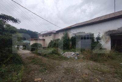 Spatiu depozitare/productie de inchiriat, oras Nasaud - 5