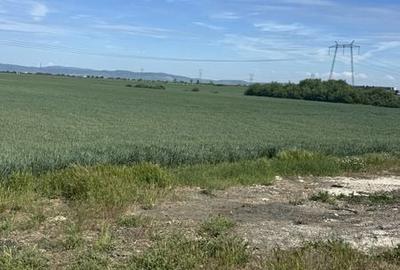 Teren de 10000 mp, în Nord - 1