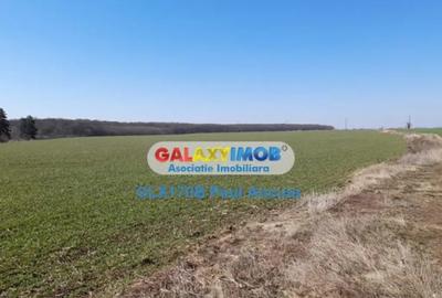 Teren de 39300 mp, în Săftica