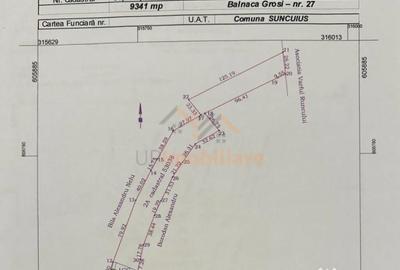 Teren de 9341 mp, în Bălnaca - 7