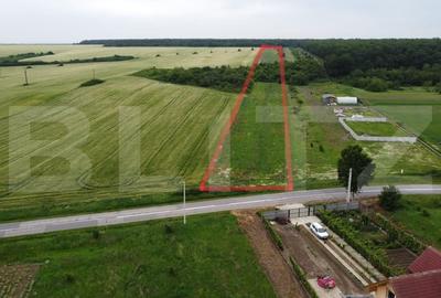 Teren Construcții intravilan de 15256 mp, în Exterior Est - 3