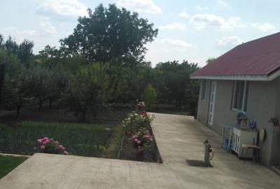Casă în Tămădău Mare - 2