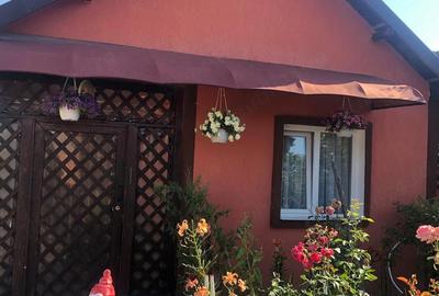 Casă cu Teren 2750 Mp în Vulpeni - 3