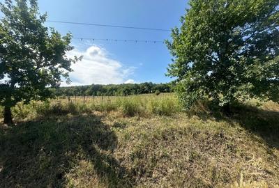 Teren Construcții intravilan de 576 mp, în Haieu - 4