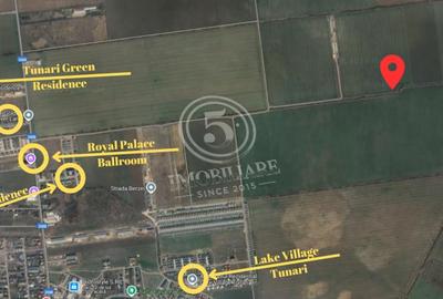 Teren Construcții intravilan de 60000 mp, în Tunari - 4