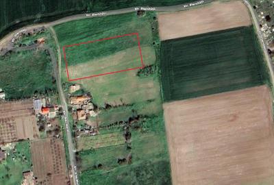 Teren Construcții intravilan de 3000 mp, în Bărăganu - 1