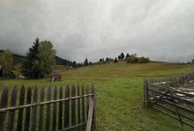 Teren Intravilan de 16.000 mp, Utilitati si Acte in Regula - 4