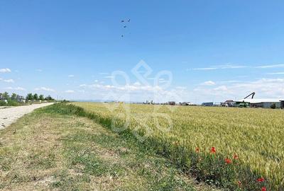 Teren intravilan 2 hectare zona Fan Courier - 3