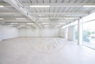 Spațiu industrial, de 598 mp, în Bradu - 6