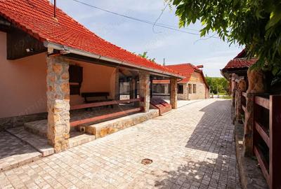 Casa cu 2 corpuri, piscina ?i 3.235 mp teren in Ghioroc - 6