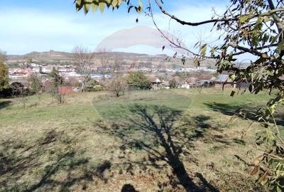 Teren intravilan de vanzare 3,798mp Str.Floreasca - Agnita - 3