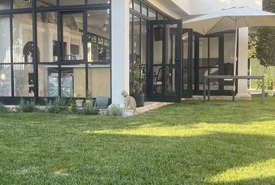 Casă cu 4 camere în Satu Nou de Jos - 6