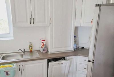 Apartament cu 3 camere semidecomandat în Valea Moșneagului - 6