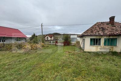 Teren 4000 mp,autorizatie de constructie Lechinta - 12