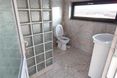 Spațiu comercial, de 240 mp, în Lunca Cetățuii - 10