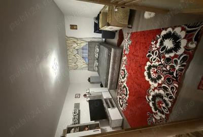 Casa de vanzare Haghig schimb cu ap 2 camere sfantu gheorghe cu diferenta - 3