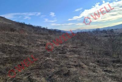 Spațiu comercial, în Fântânele - 1