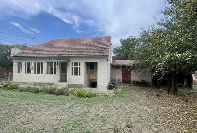 Casa cu gradina Petrisat - 4