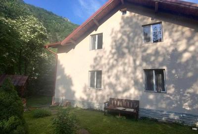 Casă cu Teren 1680 Mp în Govăjdia - 8