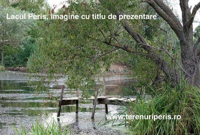 Teren în Săftica - 3