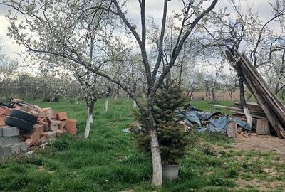 Casă cu Teren 22 Mp în Sălăjeni - 5