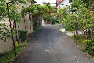 De inchiriat-casa ideala pentru sediu sau spatiu comercial-Parcul Mare - 26