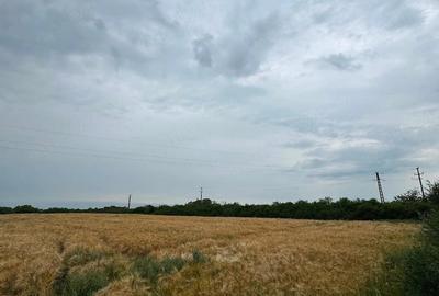 Teren de 4650 mp, în Petroman - 1