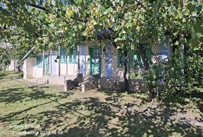 Casă cu 3 camere în Siliștea - 1