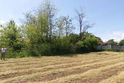 Casă cu 1 camere cu Teren 2500 Mp în Radu Vodă - 6