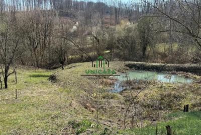 Teren de 8131 mp, în Băile Govora - 7