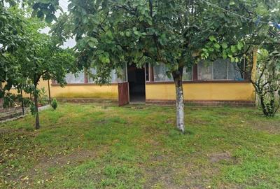 Casă individuală cu 3 camere cu Canalizare în Lunca Corbului - 5
