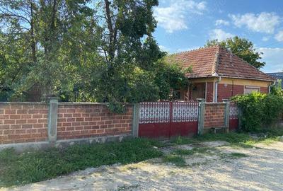 Casa de vanzare Ciumbrud Casa de vanzare Ciumbrud - 5