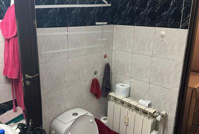 FALEZA NORD - REYNA 3 CAMERE DECOMANDAT MOBILAT, UTILAT, CENTRALA GAZ 650 EURO - 18