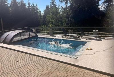 Casă de vacanța / Vilă în Păltiniș cu piscina acoperită și încălzită - 1