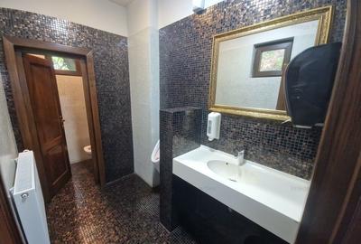 Oportunitate de investitie restaurant in Parcului Tineretului - 6