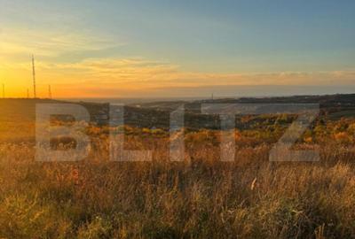 Teren Penoramic de 2700mp, Podgoria - 2