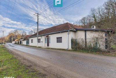 Casă cu 3 camere cu Teren 1260 Mp în Hășmaș - 15