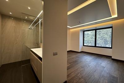 Penthouse Spatios si Rafinat pe Bulevardul Kiseleff - 11