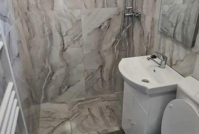 Apartament de inchiriat pe Victor Babe? - 9