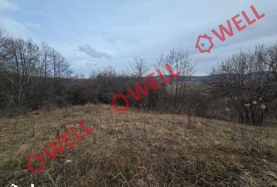 Teren de 4200 mp, în Barcani - 5
