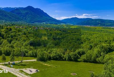 Teren de 500 mp, în Central - 3